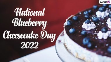 National Blueberry Cheesecake Day 2022: Easy Recipes To Bake at Home and Celebrate the Yum Food Day